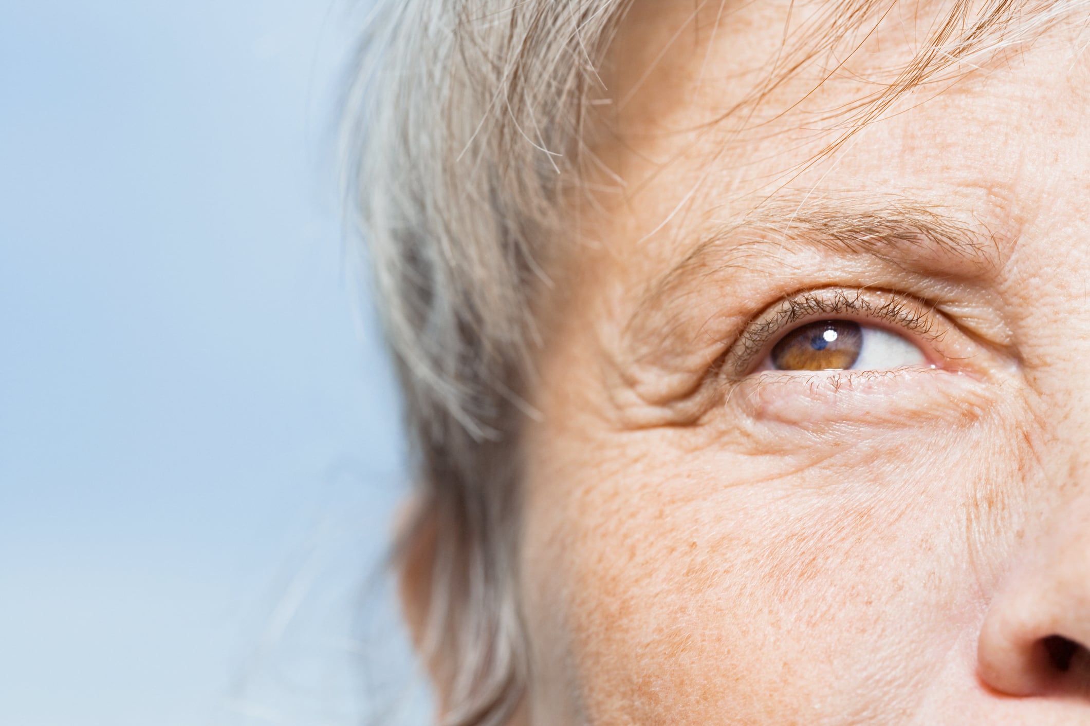 Soy-protein-with-added-isoflavones-improves-skin-health-in-postmenopausal-women.jpg