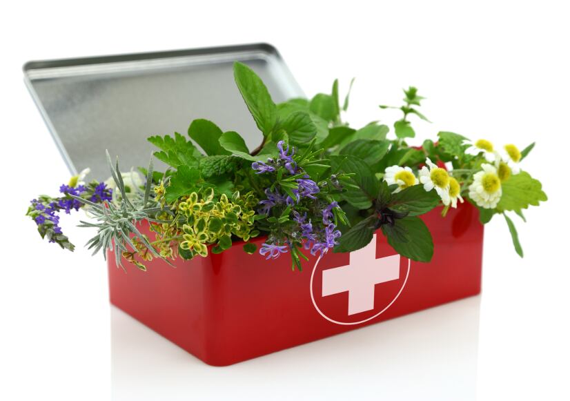 herbal-botanical-traditional-medicine.jpg
