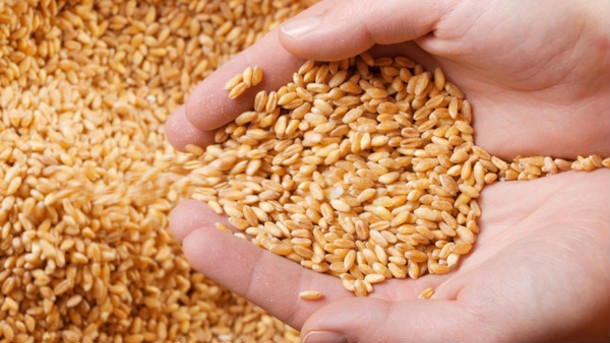 Increasing wholegrain intake in ASEAN key to reducing NCDs in region: Study