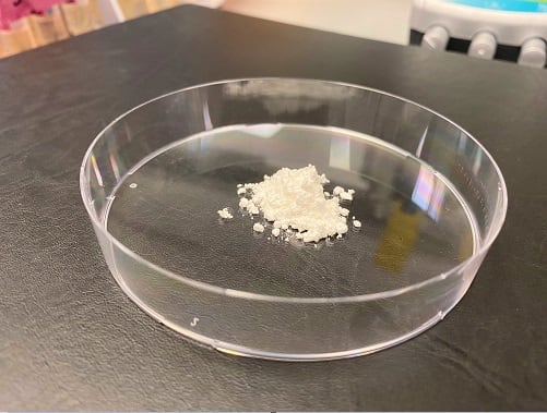 NTU-encapsulated-probiotics.jpg