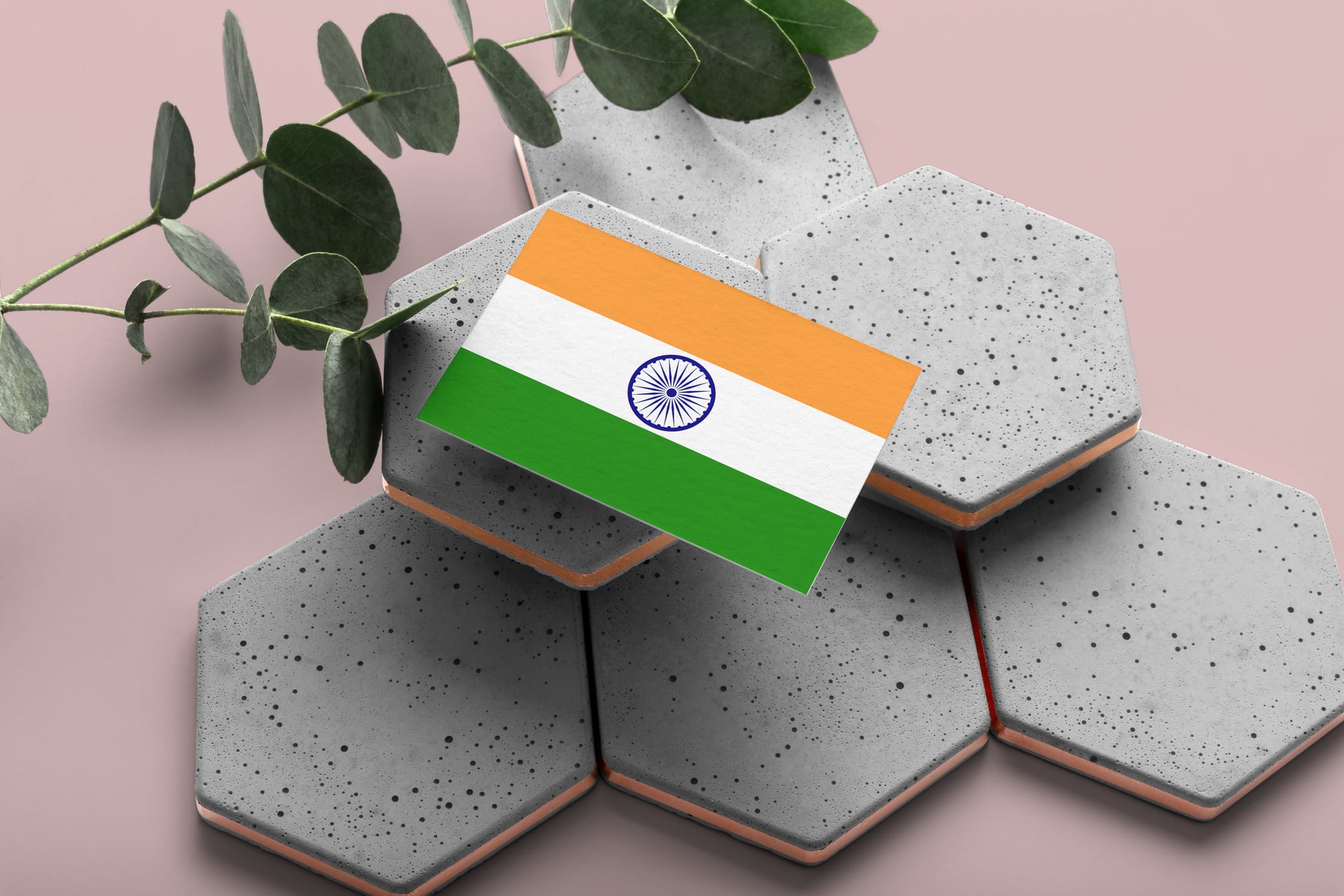 India is famous for its herbal and botanical extracts but there is also a growing number of homegrown probiotic raw material suppliers ready to take on the international markets.