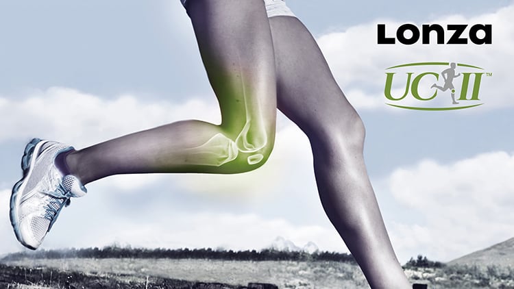 A-more-effective-joint-health-ingredient.jpg