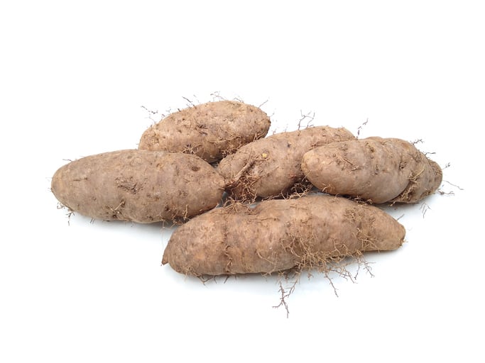 Yam-derived-bioactive-improves-muscle-quality-in-middle-aged-adults-Japan-12-week-study.jpg