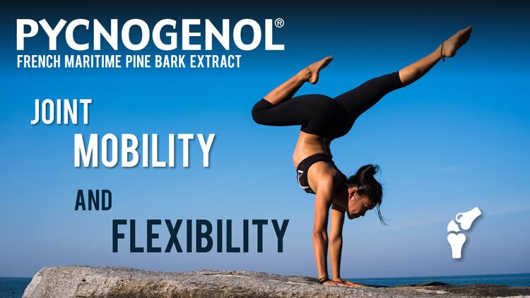 Pycnogenol-R-s-Potential-Benefits-for-Joint-Support.jpg