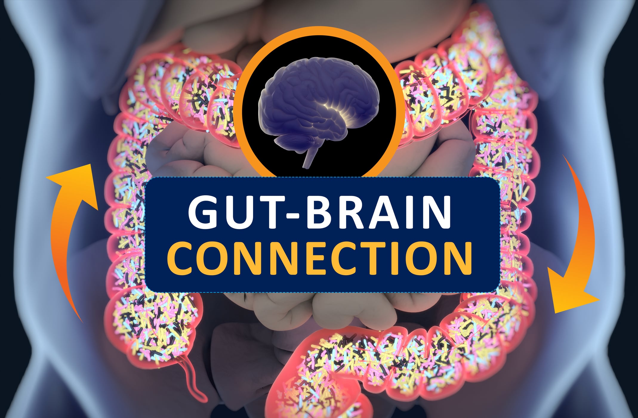 Seed-Health-partners-with-Axial-Therapeutics-for-gut-brain-program.jpg