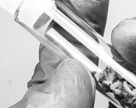 Startup claims fermentation expertise will provide differentiator in production of rare cannabinoids