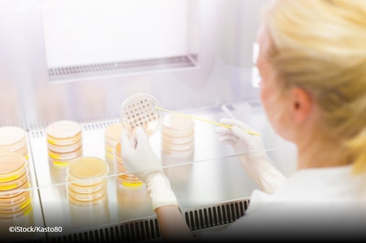 Faecal transplants appear to prevent colorectal cancer, study concludes 