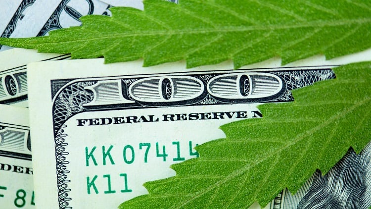 Yooma acquires CBD skin care brand Blossom