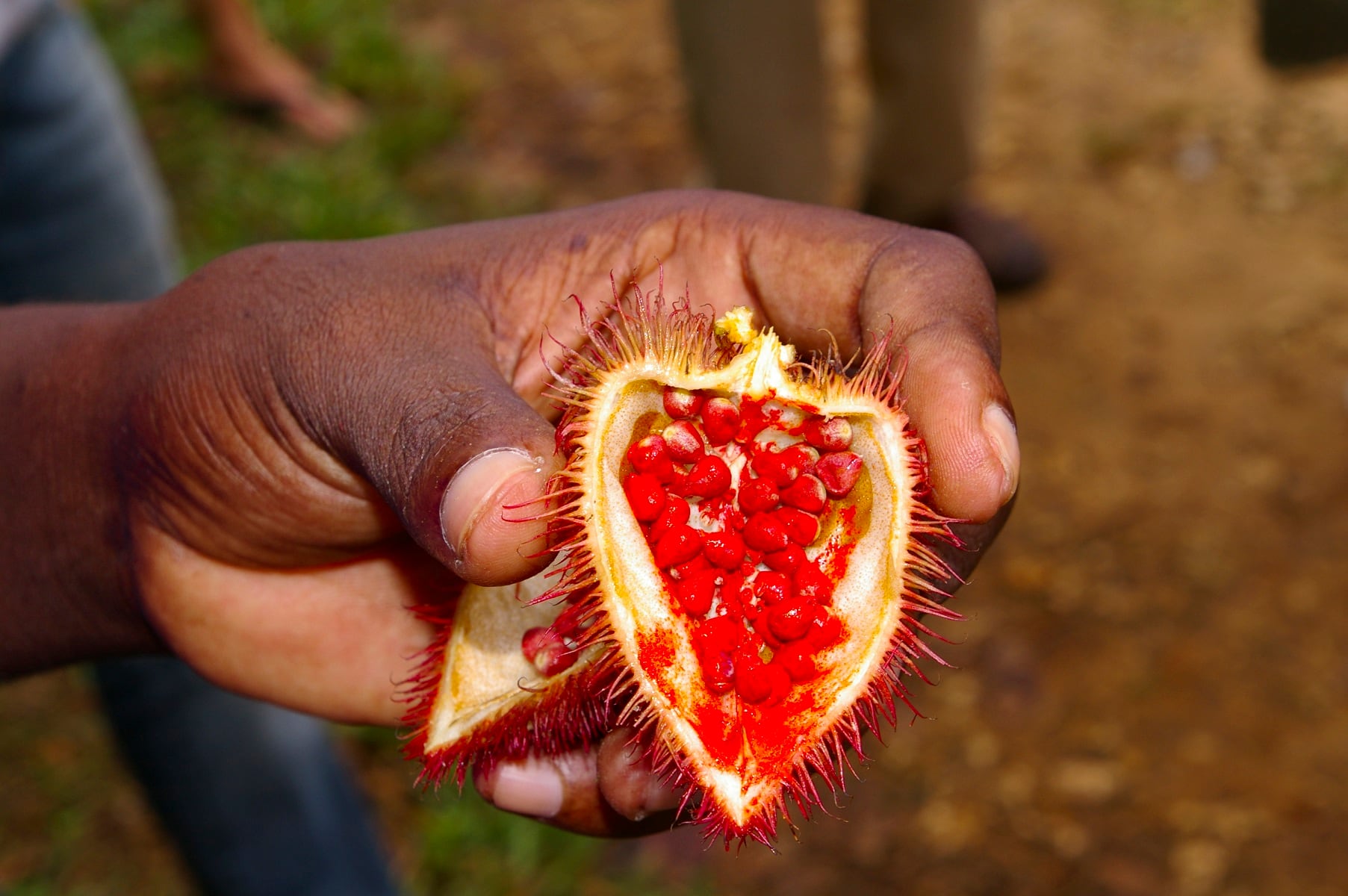 ‘Unambiguous nutritional benefits’: Annatto tocotrienol positively affects multiple biochemicals in the human body, says study