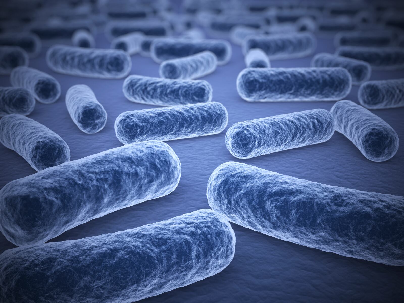 Probiotics-C-spawns.jpg