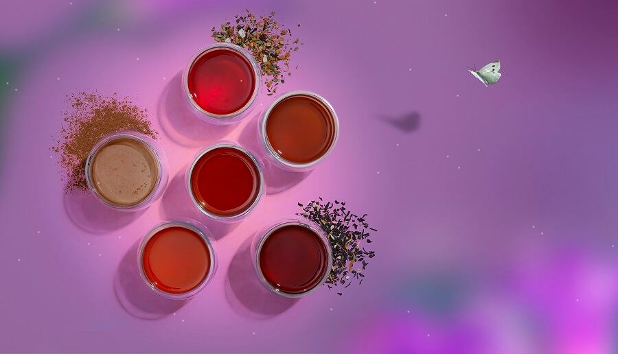 DAVIDsTEA delivers flavor-and-function-forward teas