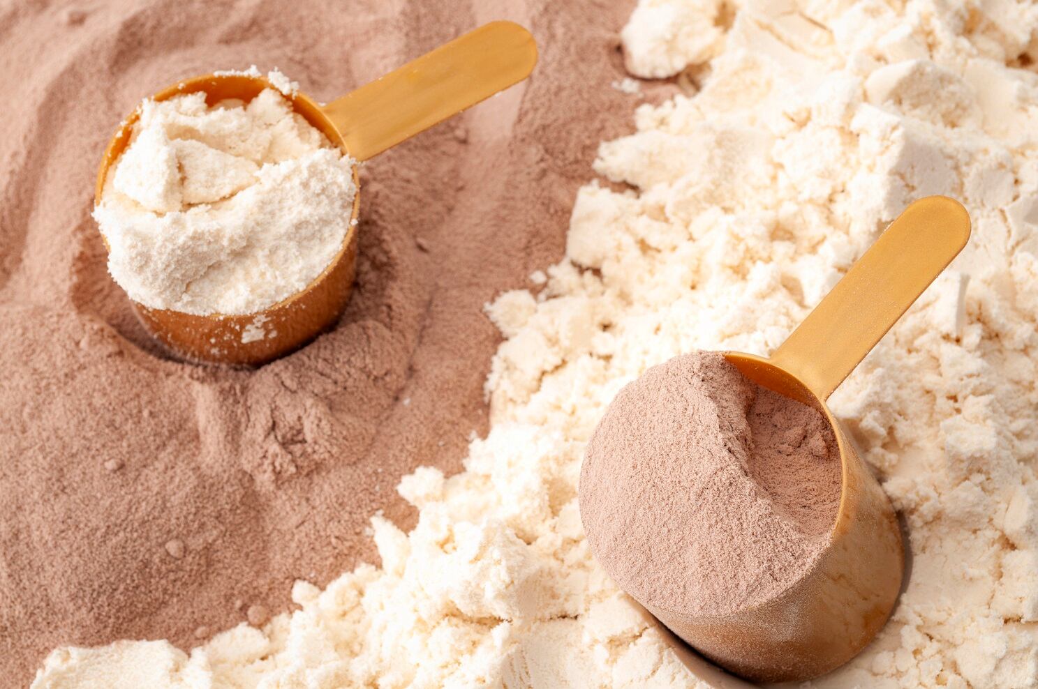 Study-shows-plant-based-protein-matches-whey-for-muscle-mass-strength.jpg