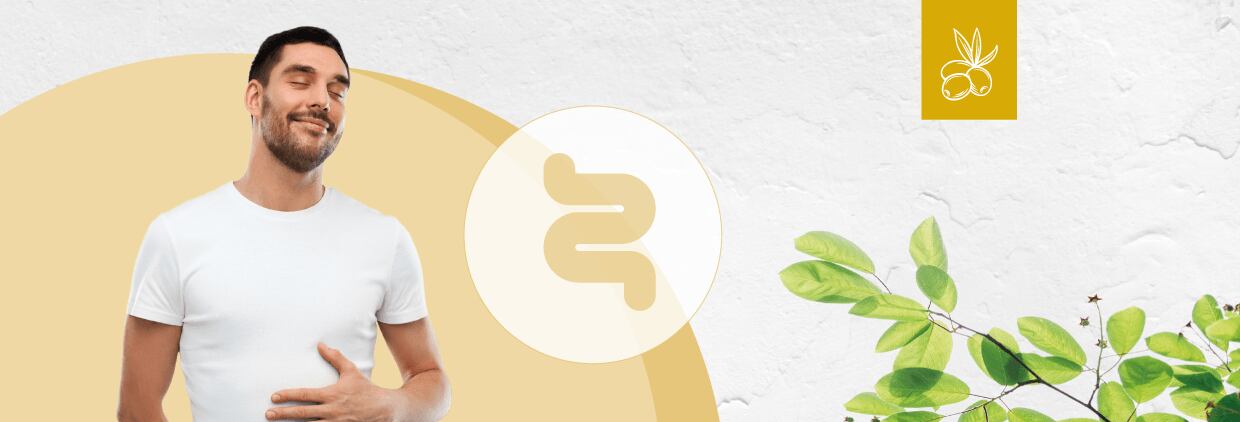 Olive-derived polyphenols for gut health