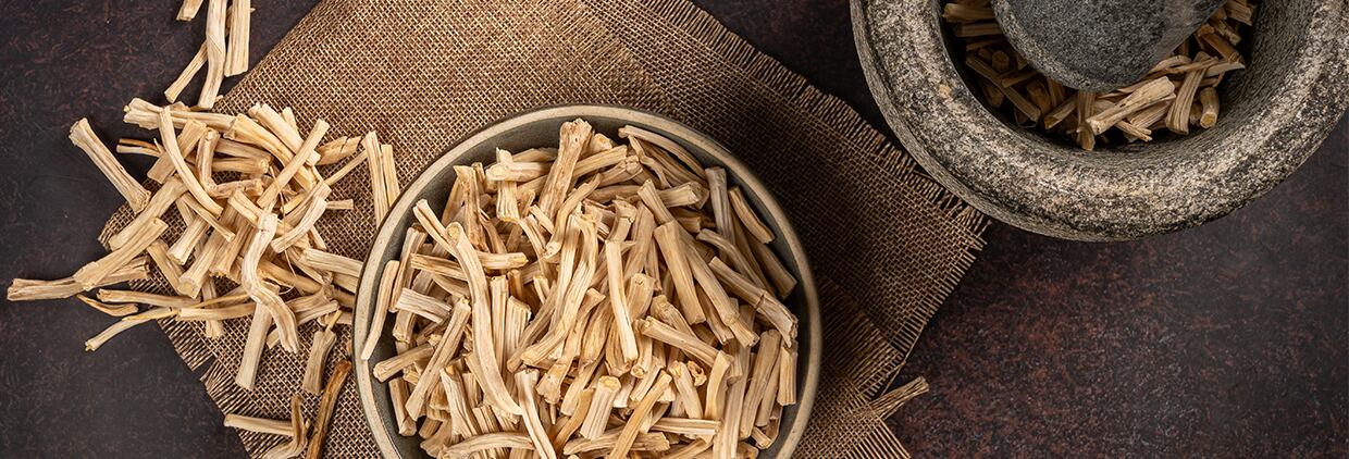 Shatavari: The breakthrough botanical driving a new era in women’s health