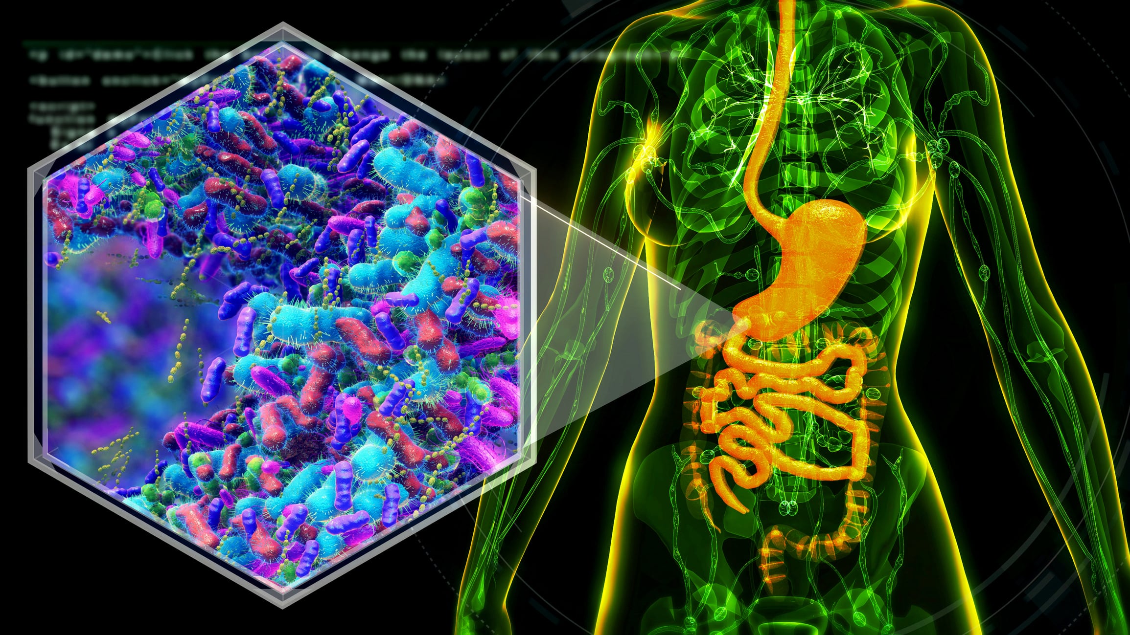 Unlocking human healthspan: Personalizing nutrition according to gut bacteria