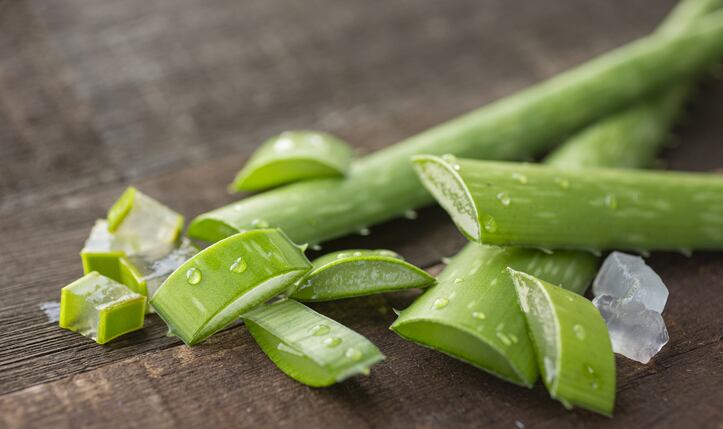Aloe leaf side-effect fears: Korea Consumer Agency calls for re-evaluation  of use in health functional foods
