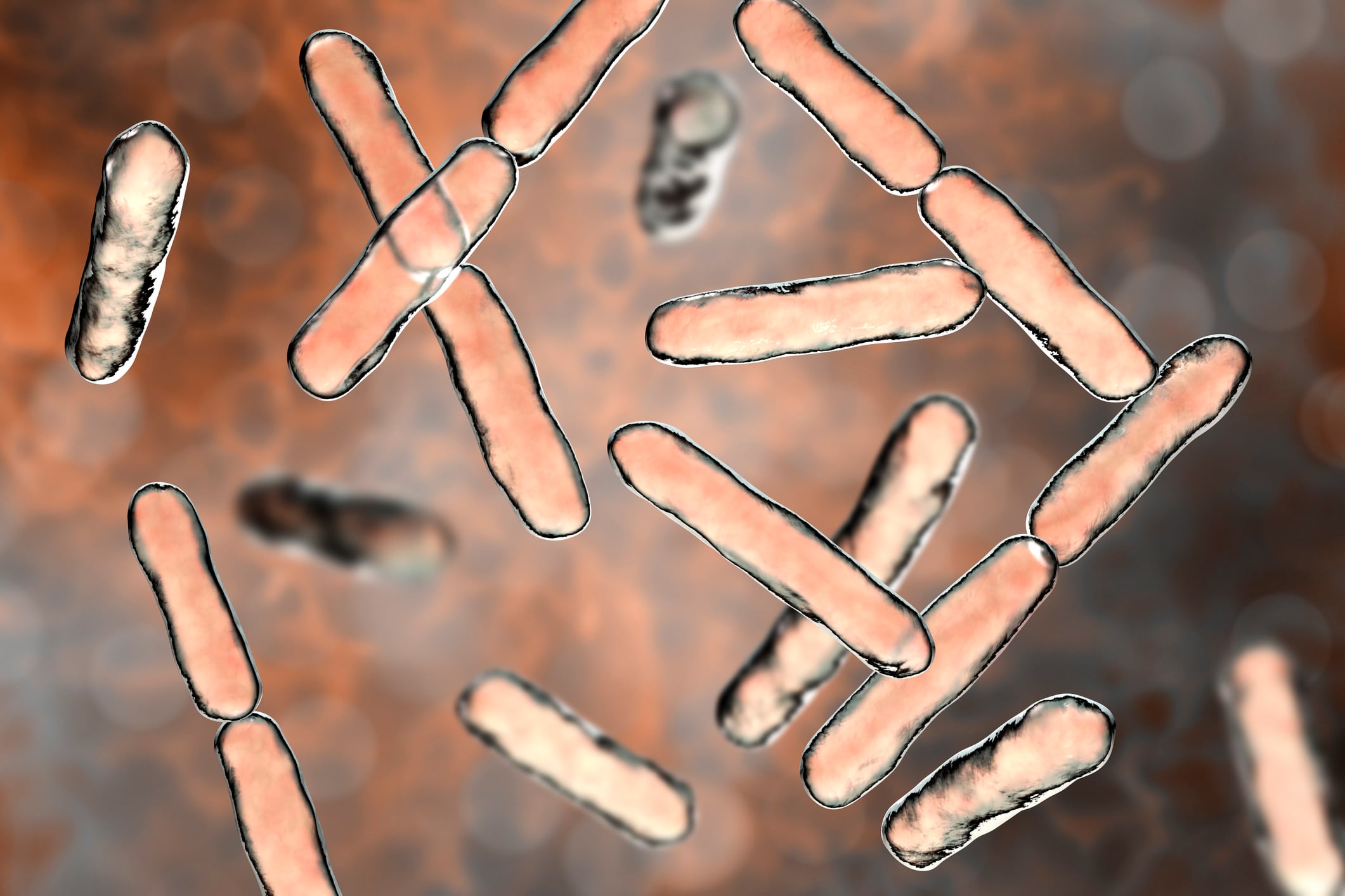 Potential probiotic isolated from Olympian may offer sports performance promise
