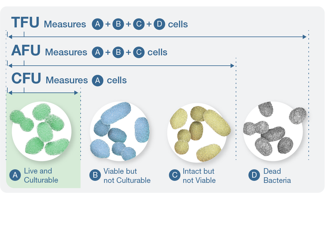 NūGensia Enumeration