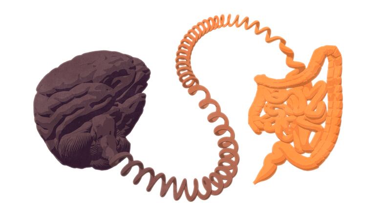 Prebiotics improve glucose homeostasis: Study