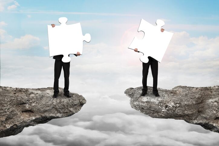 Polyphenols supplier Fytexia acquires Vital Solutions