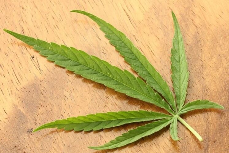 FSAI issues updates to CBD food and supplement recall 