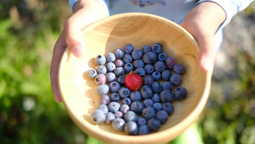 Anthocyanins in berries give fruits and vegetables their red, purple and blue pigments and have antioxidant properties that can support brain and heart health.