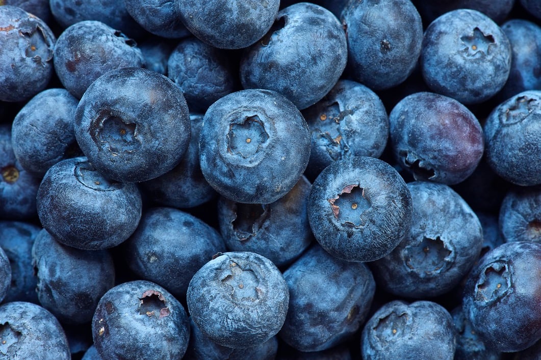 Neuroprotective-effects-of-blueberries-extend-beyond-antioxidant-activity.jpg