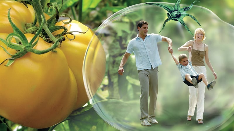 Belgian firm tapping into APAC's 'beauty from within' trend with cosmeceutical products