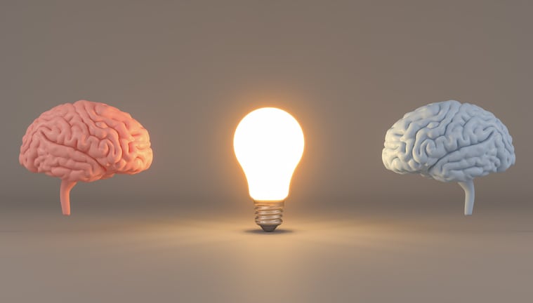 Ginseng, brahmi, coffee fruit extract could improve mood, working memory – USANA-funded trial