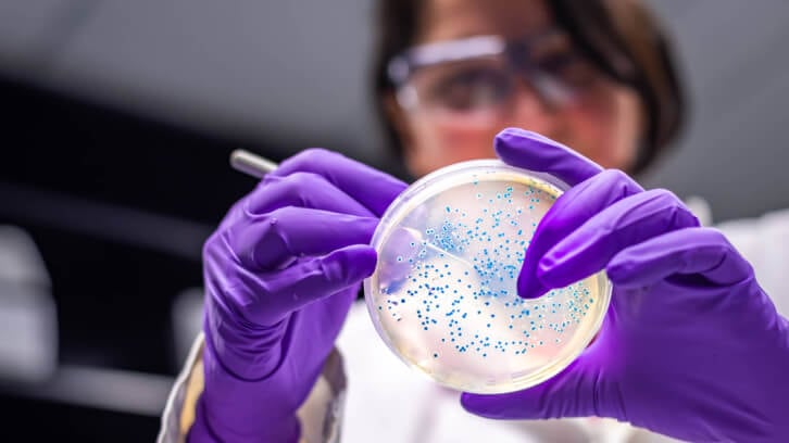 How-bioinformatics-and-fungal-research-influence-Biohm.jpg