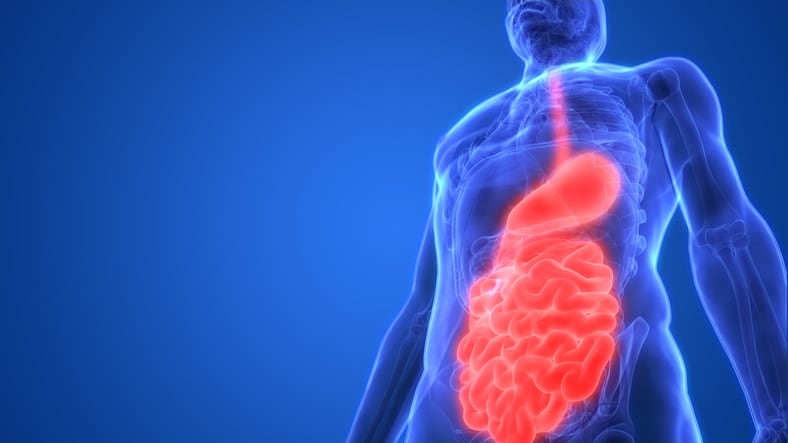 Analysis calls attention to importance of gut function 