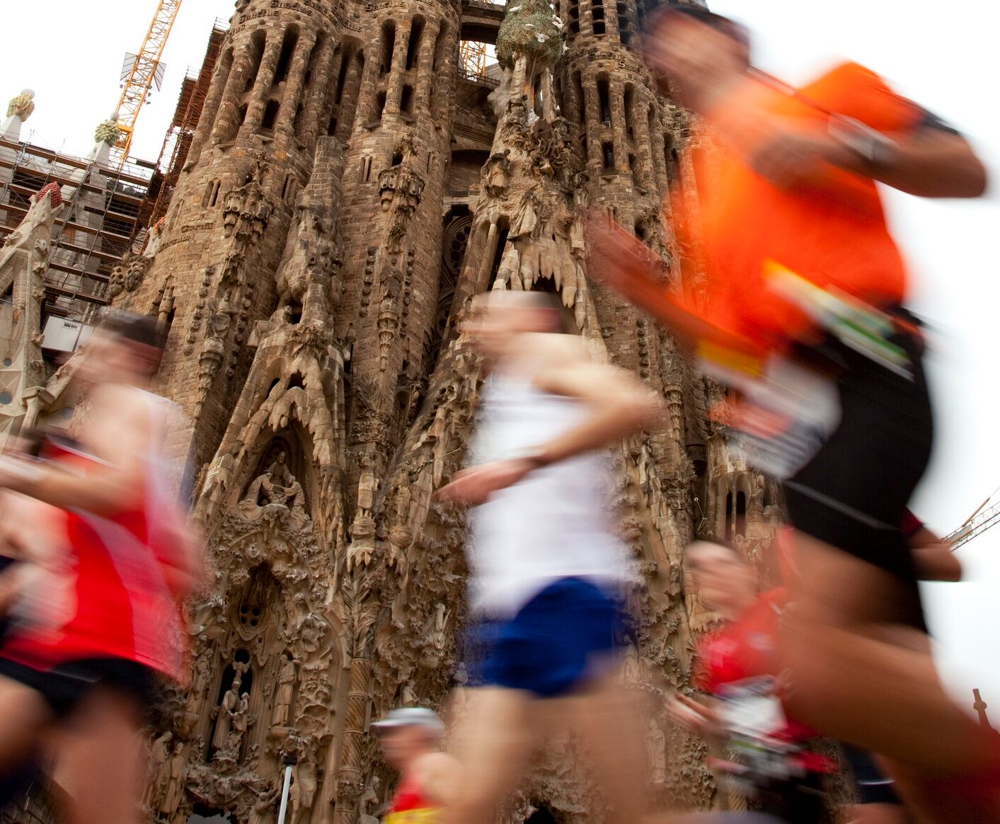 Polysaccharide supplement may give marathon runners an immune boost