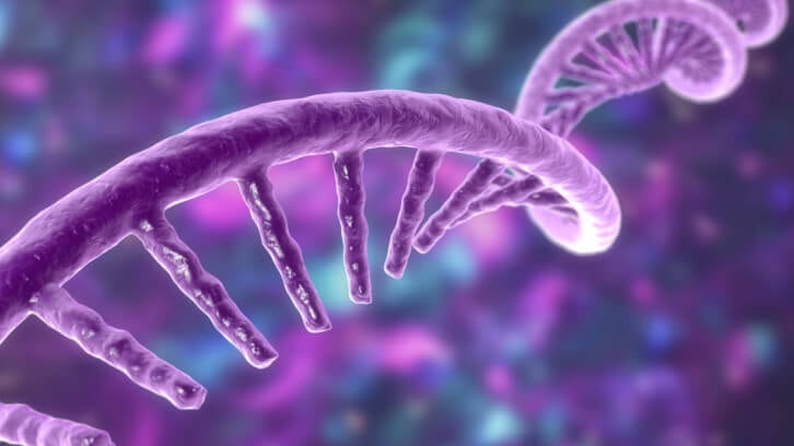 Review explores crosstalk between cranberries, gut microbiota and microRNAs