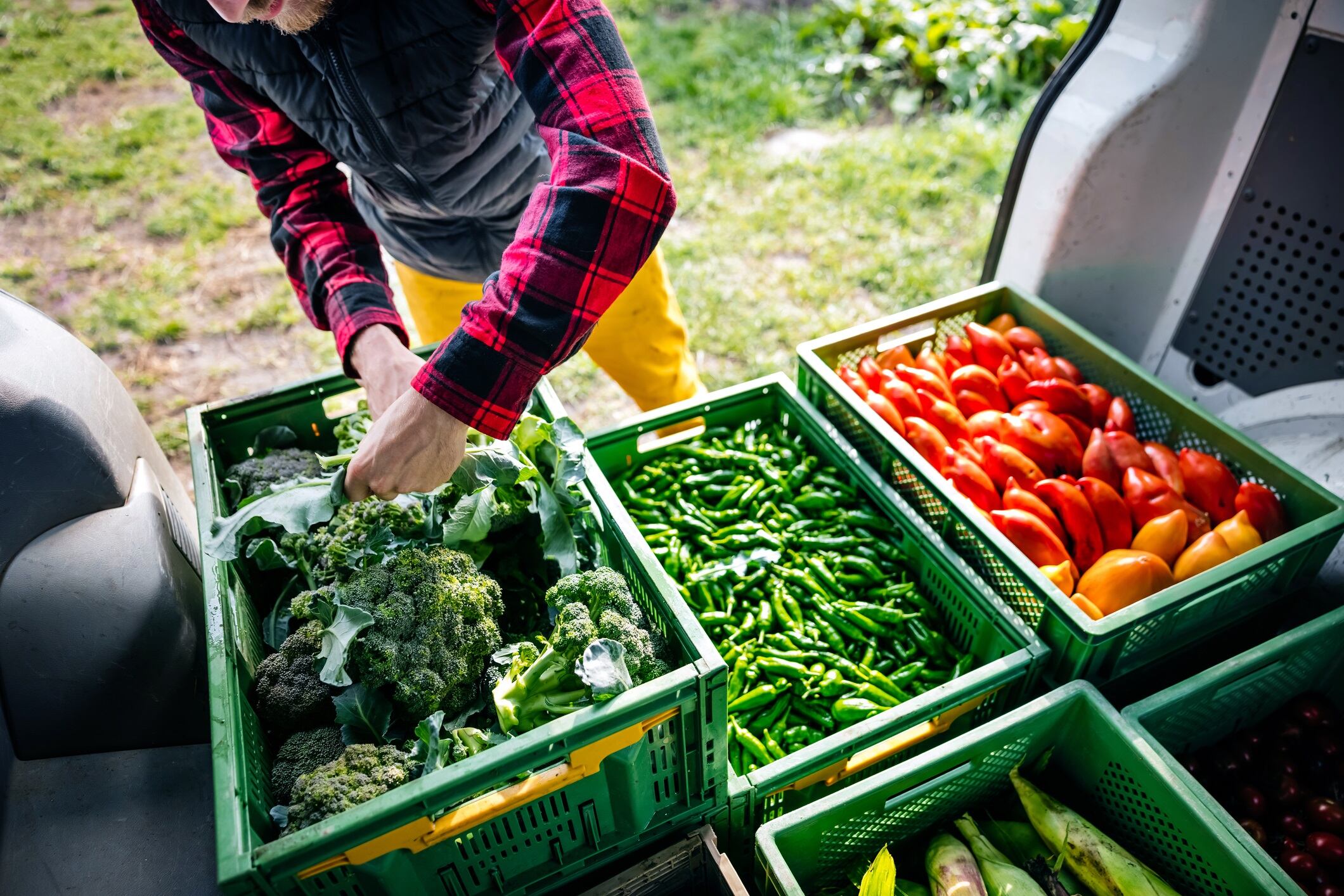 A farmer organising a van filled with crates of organic vegetables before heading to the farmers market.
