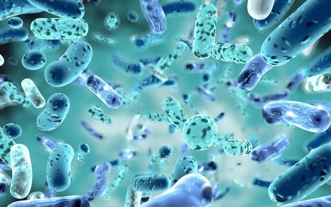 No impact: Indian RCT finds probiotic Bacillus clausii has little impact on acute childhood diarrhoea