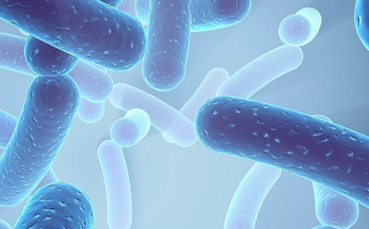Sabinsa-gets-patent-on-Lactospore-s-mood-benefits.jpg