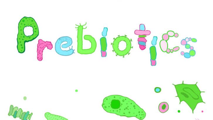 Prebiotics-boost-iron-absorption-for-at-risk-infants-RCT.jpg