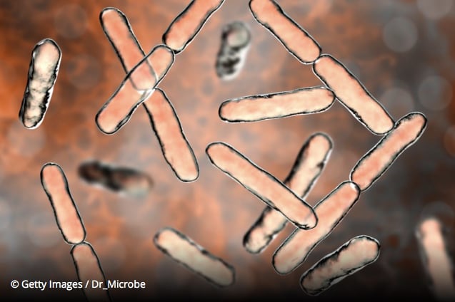 Stakeholders urge FDA to stick to CFUs, dump weight requirement on probiotics labels