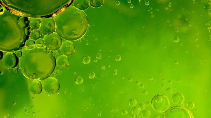 ImperialOel-on-innovating-within-a-shifting-omega-3-market.jpg