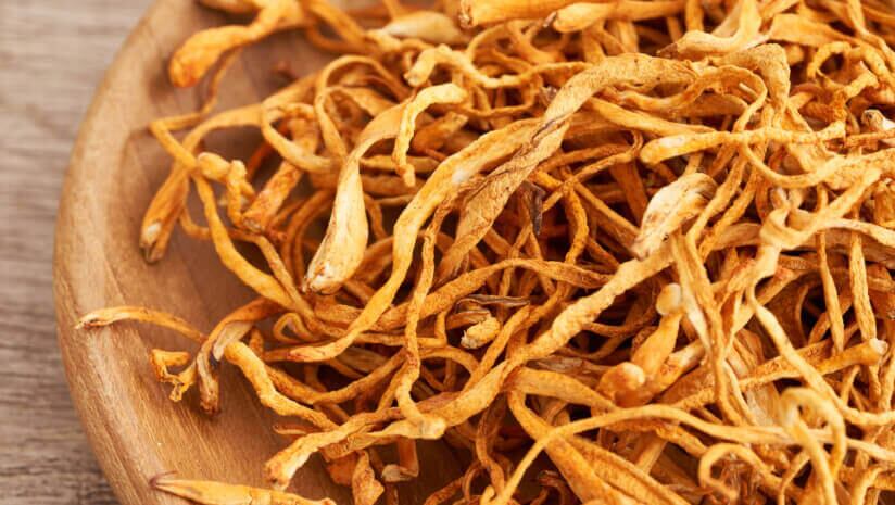 M2-Ingredients-highlights-recent-ex-vivo-studies-for-mushrooms-on-gut-health.jpg