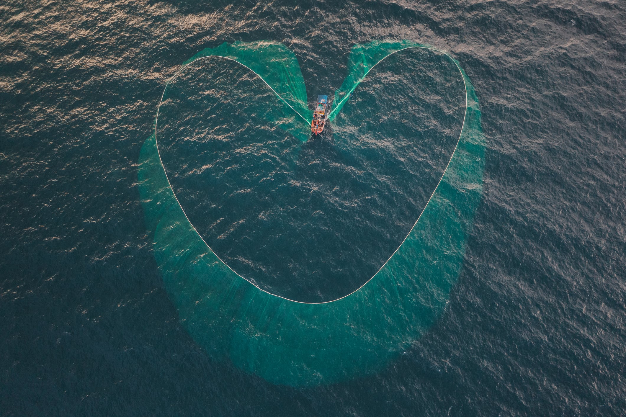 Catching the green wave: Fueling the future of omega‑3 sustainability