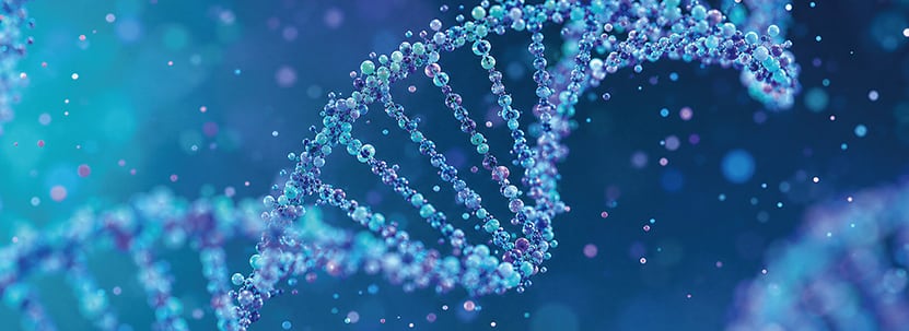 DNA methylation patterns