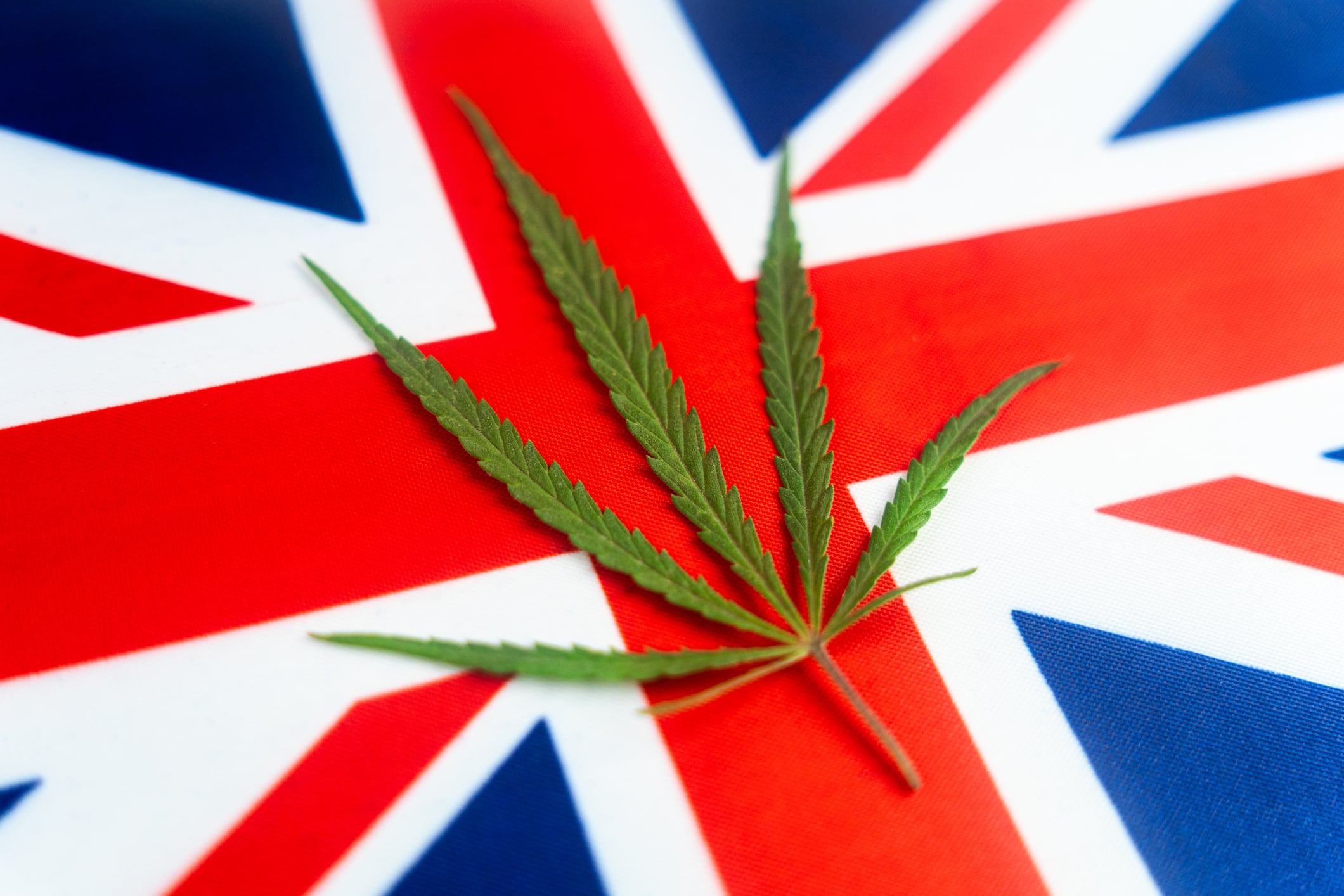 a hemp leaf on background of the British flag. Concept of legalization and changes in legislation regarding cultivation and use of marijuana in the country Great Britain,