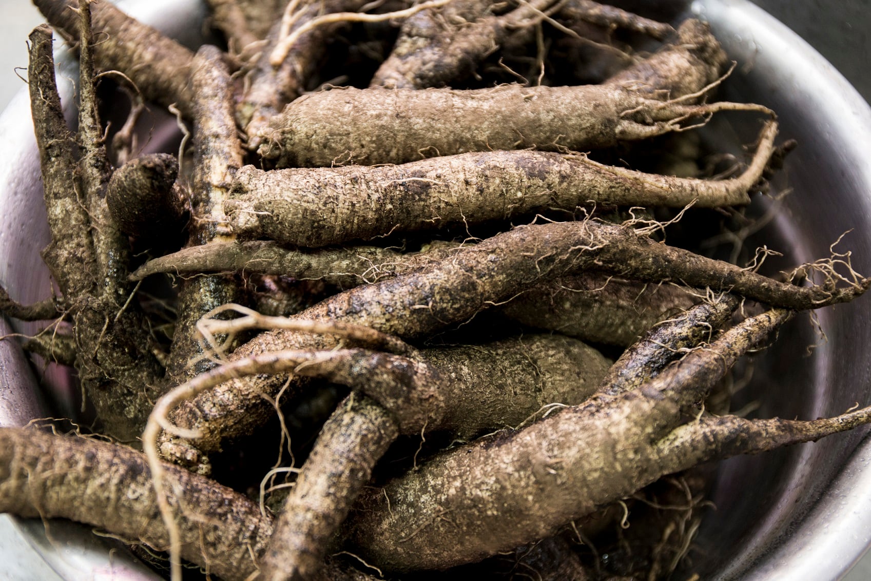 Codonopsis extract may offer blood pressure management potential: RCT