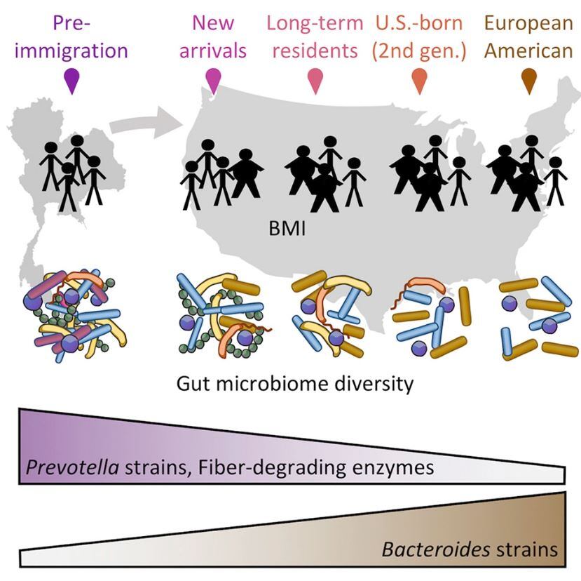 Gut-and-immigration-2.jpg