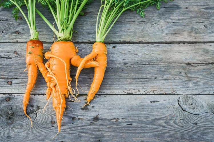 Pectin and carotenoids: Argentinean researchers find functional use for discarded carrots