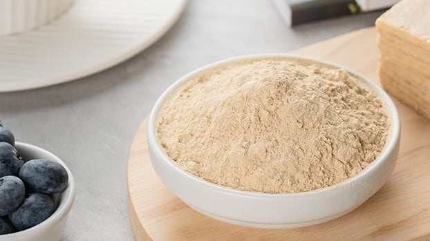 Yeast Protein: closing the protein gap with bountiful nutrition