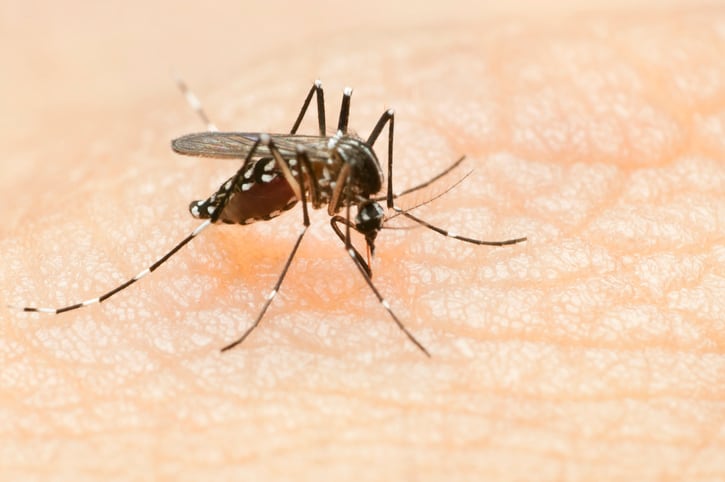 Tropical diseases and LC-Plasma: Kirin and University of Malaya to expand research following dengue clinical trial