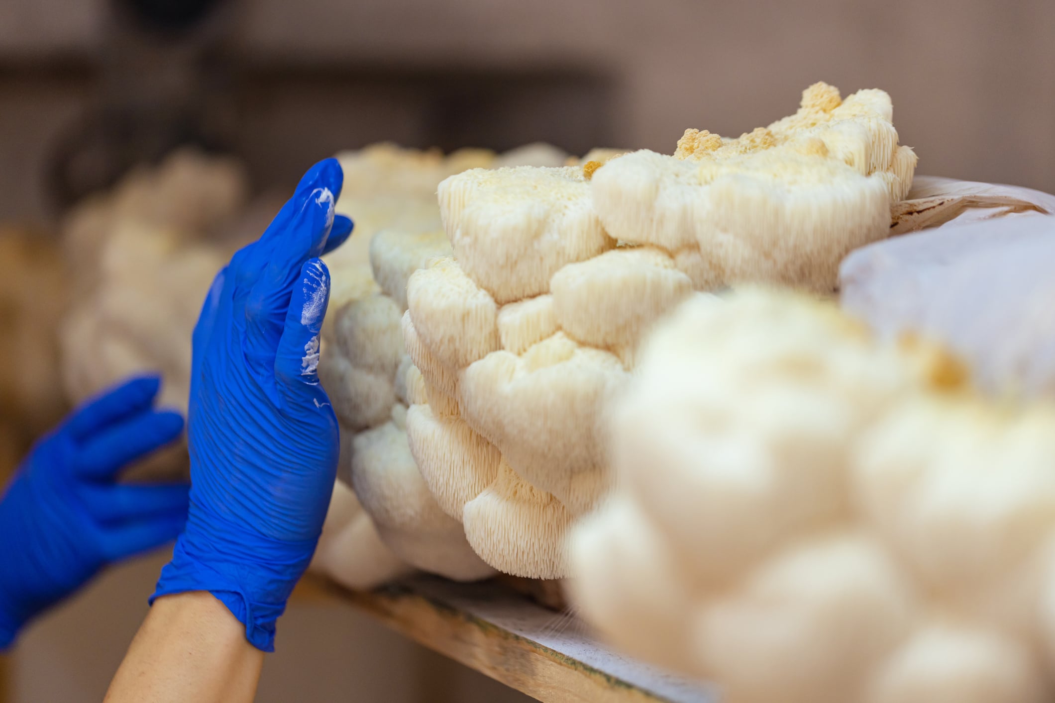 "The long-term health of the category depends on moving from label recognition to demonstrated quality," said Amir Karian, VP Nutraceuticals at Monterey Nutra.