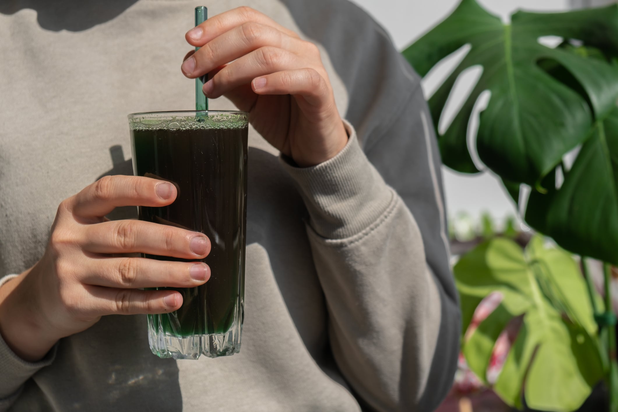Arborea and Vita Actives partner to accelerate premium spirulina category